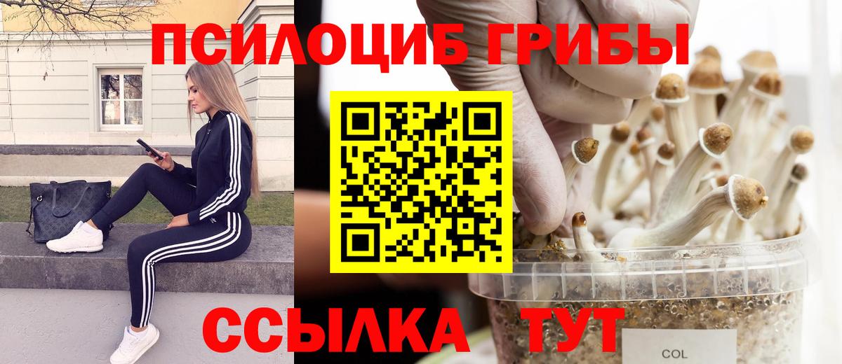Псилоцибиновые грибы GOLDEN TEACHER  Псилоцибиновые грибы прущие грибы  Вход с VPN  Долгопрудный 